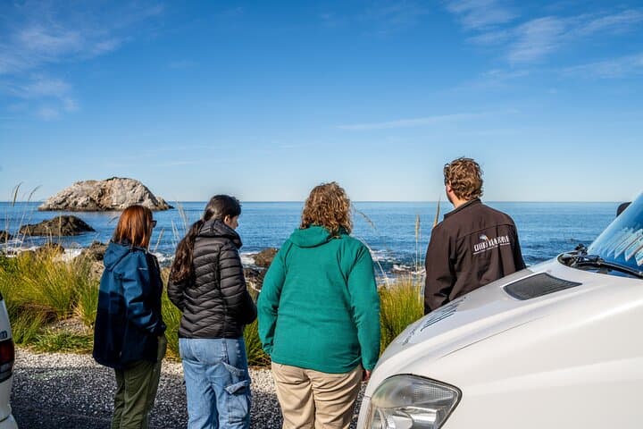 Kaikōura Day Trip From Christchurch: Dolphin Encounter & Coastal Wildlife photo 5