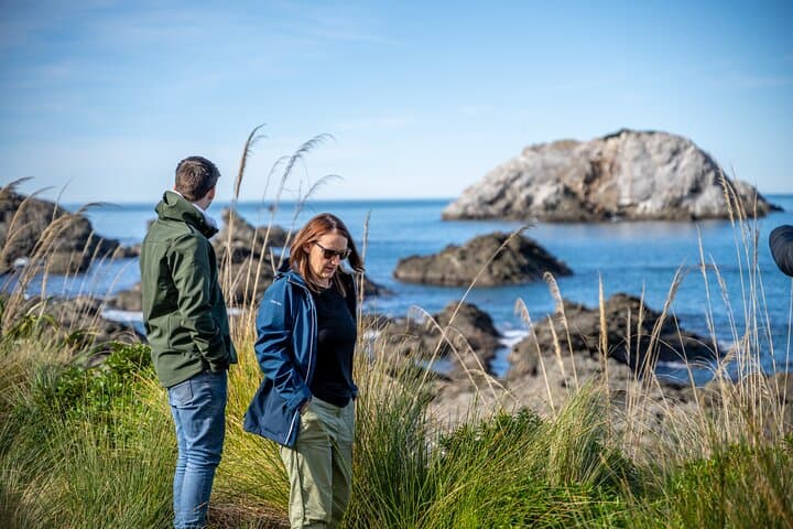 Kaikōura Day Trip From Christchurch: Dolphin Encounter & Coastal Wildlife photo 4