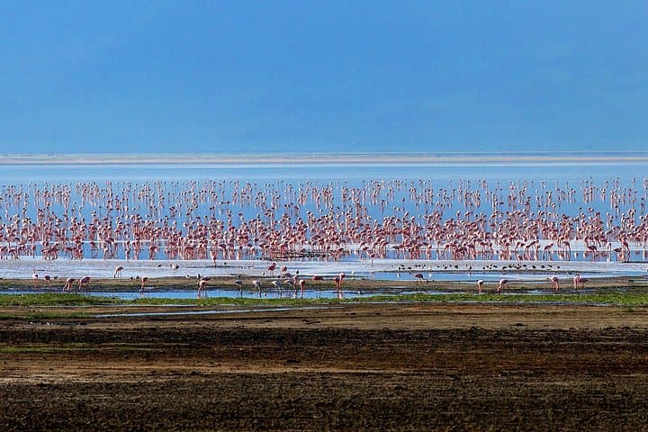 5-Day Private Camping Safari: Serengeti, Ngorongoro & Tarangire photo 2