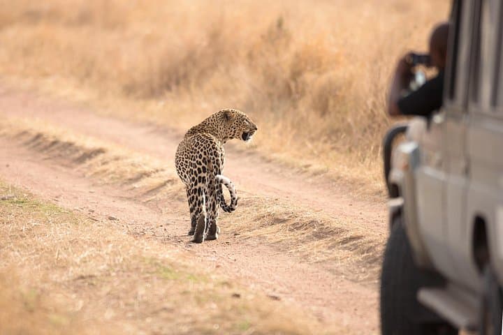 5-Day Private Camping Safari: Serengeti, Ngorongoro & Tarangire photo 1