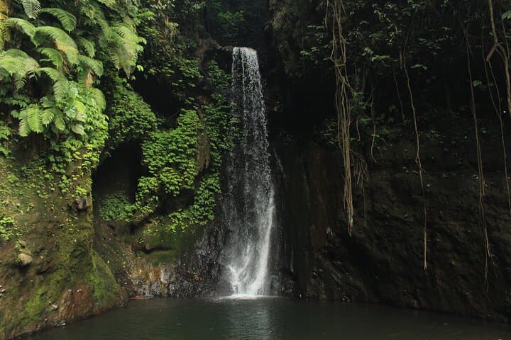 Springs Canyon Canyoning: Full-Day Adventure in North Bali photo 6
