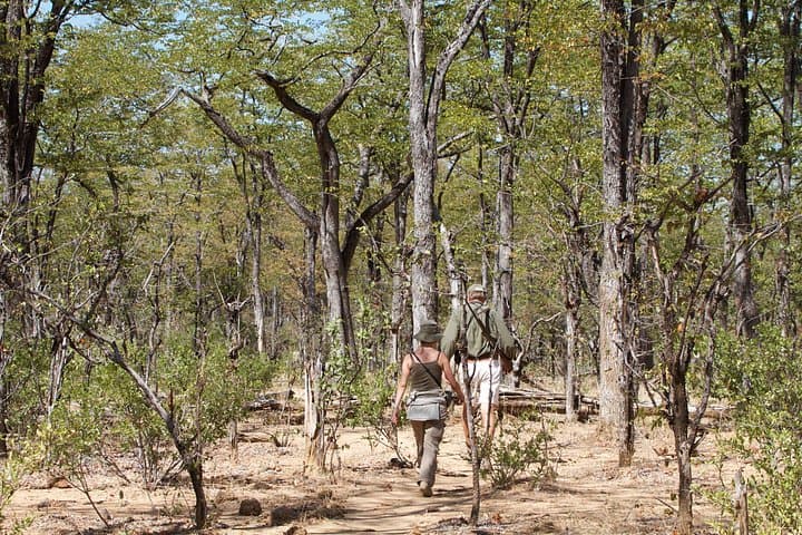 4-Day Safari from Arusha: Tarangire, Serengeti & Ngorongoro Crater photo 4