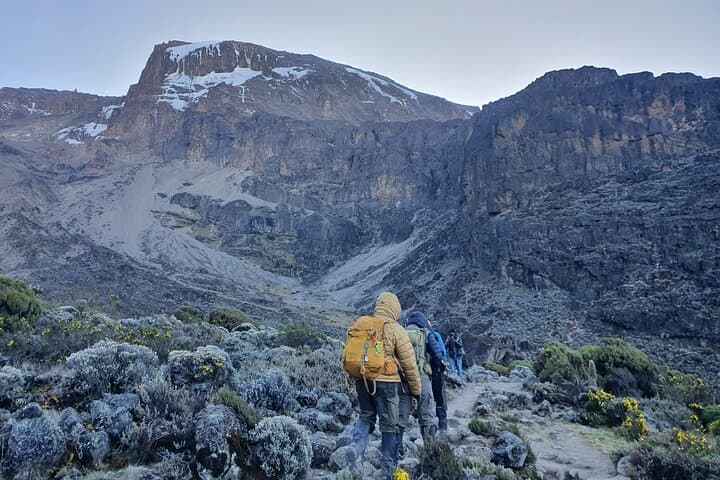6-Day Machame Route Trek to Mount Kilimanjaro Summit
