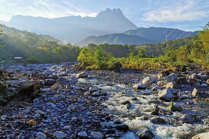 Full-Day JomTour: Private Kota Kinabalu Tour to Kinabalu Park, Nabalu & Canopy Walkway