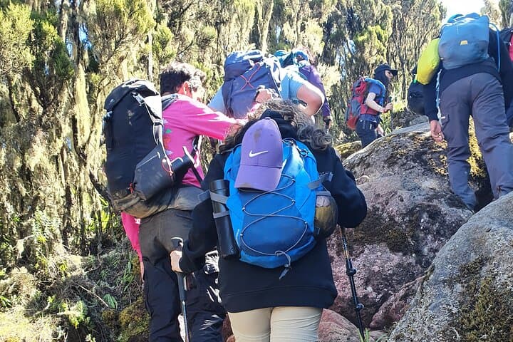 6-Day Machame Route Trek to Mount Kilimanjaro Summit photo 4