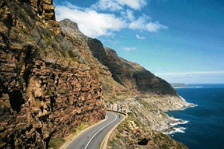Full-Day Cape Peninsula & Cape of Good Hope Tour — Penguins, Chapman's Peak & Cape Point photo 5
