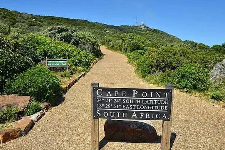Cape Point and African Penguins Private Tour — Full-Day Cape Town Coastal Drive photo 4