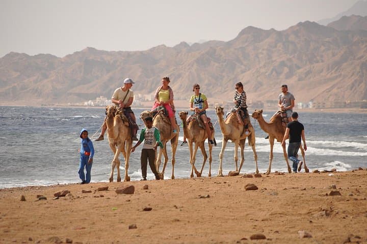 Blue Hole & Dahab Day Trip from Sharm El Sheikh: Snorkel, Camels & Bedouin Tea
