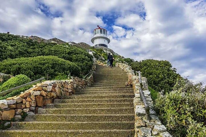 Cape Point, Penguins & Chapman’s Peak: Full-Day Cape Peninsula Tour from Cape Town photo 6