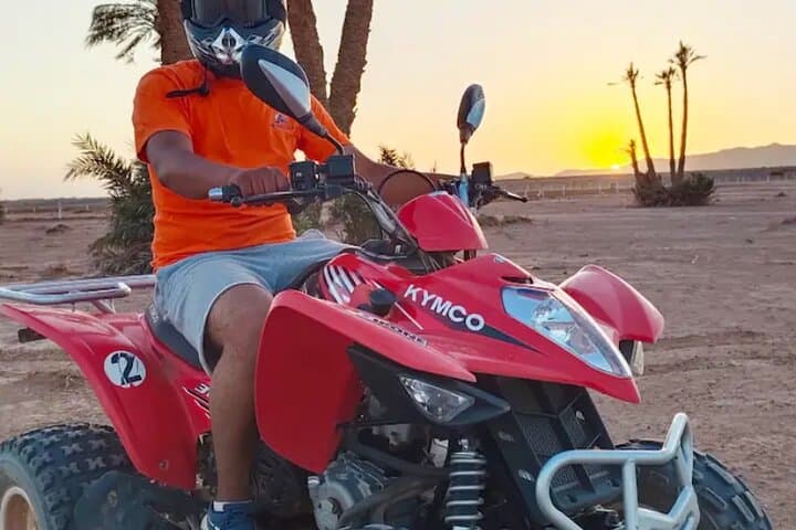 Quad Through Marrakech’s Palmeraie: Desert Tracks, Oasis Walks & Tea Breaks photo 5