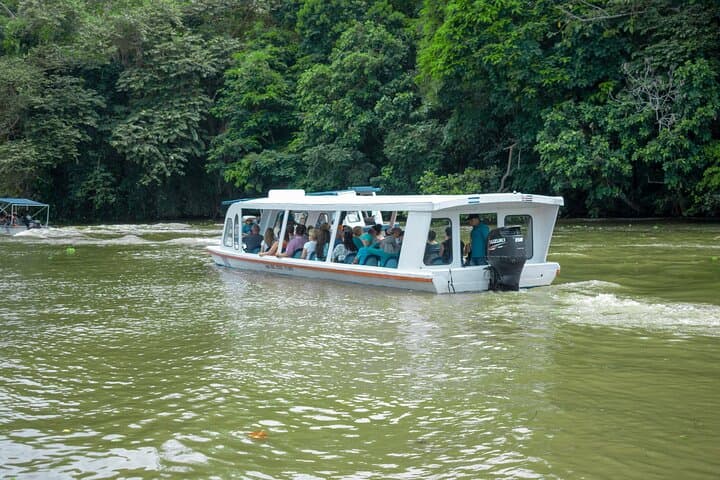 Limón Rainforest Hanging Bridges & Tortuguero Canals Skywalk and Boat Tour photo 3