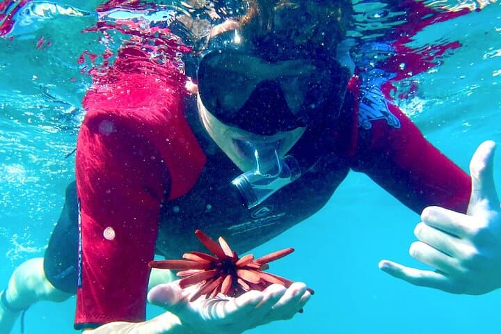 Safe Beginners Snorkel at Kapalua Bay with Flotation Wetsuit