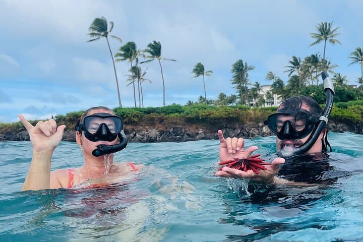 Safe Beginners Snorkel at Kapalua Bay with Flotation Wetsuit photo 5
