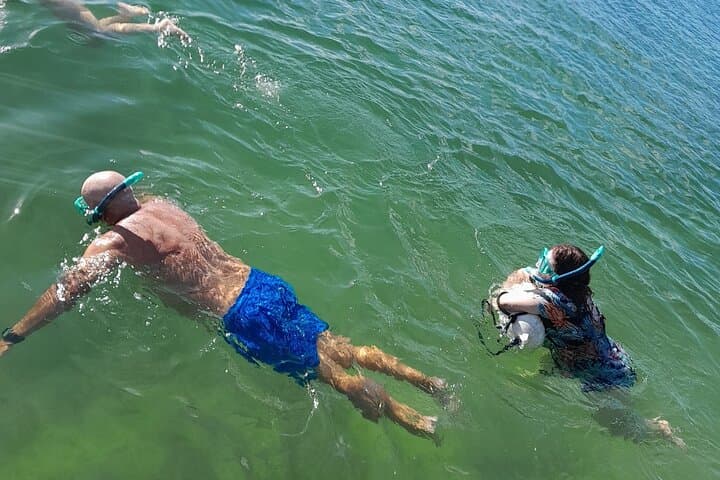 Biscayne Bay Snorkel: Beginner-Friendly Private Tour to a Miami Sandbar photo 3