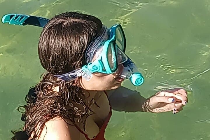 Miami Snorkel Adventure & Sandbar Trip in Biscayne Bay photo 2