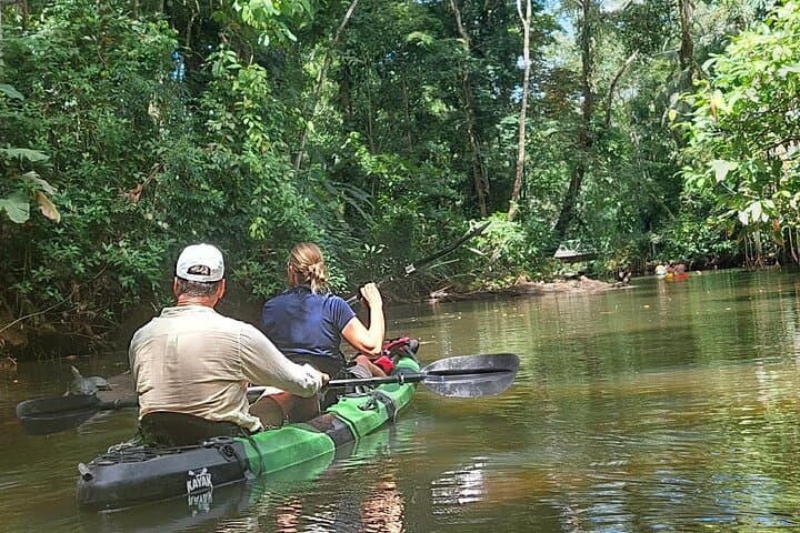 Punta Uva River Kayak and Beach Tour: Wildlife, Hike & Swim