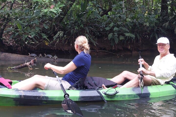 Punta Uva River Kayak and Beach Tour: Wildlife, Hike & Swim photo 2