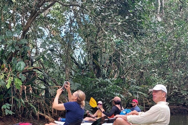 Punta Uva River Kayak and Beach Tour: Wildlife, Hike & Swim photo 5