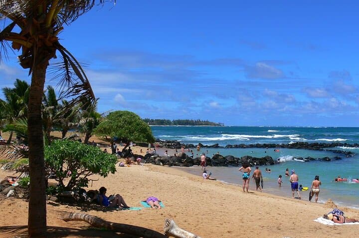 Kauai Waterfalls & Food Tasting: Eastside Small-Group Tour from Kapaa photo 5