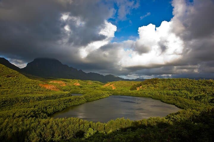 East Kauai Waterfalls & Food Tasting — Private 5‑Hour Kauai Experience photo 2