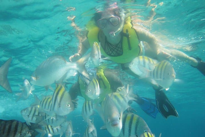 Cozumel Beach & Snorkeling: Money Bar to Chula's Beach Day Trip photo 3