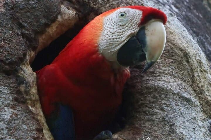 Guided Naturalist Walk in Curu Wildlife Refuge — Paquera Costa Rica Nature Tour