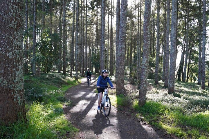 Waikato River Trail E‑Bike: Karangahake Gorge, Waihi & Paeroa Full-Day Tour photo 3