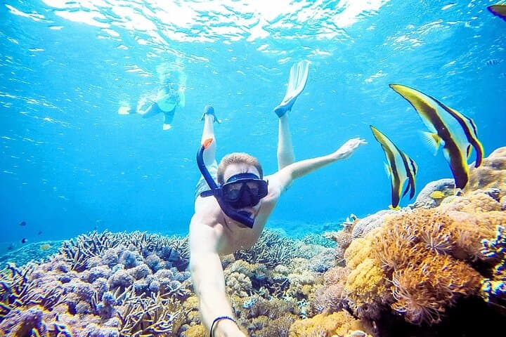 Snorkeling Nusa Penida: Manta Point, Kelingking & Island Highlights photo 1