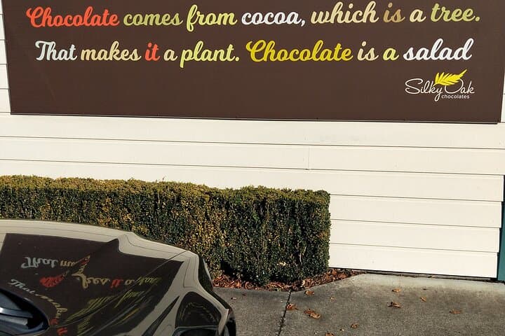 Napier Half-Day Sights & Tastes Tour: Te Mata Peak, Vineyards and Local Honey photo 4