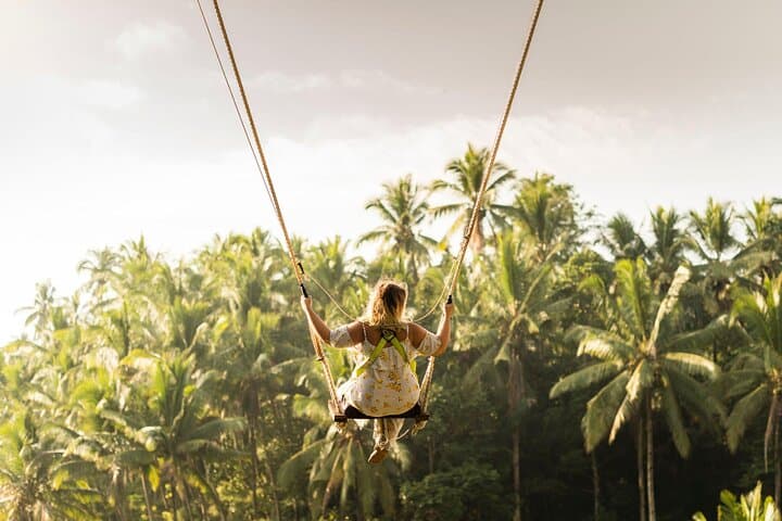 Custom Full-Day Bali Private Car Charter with Local Guide — Ubud Rice Terraces, Waterfalls & Temples photo 4