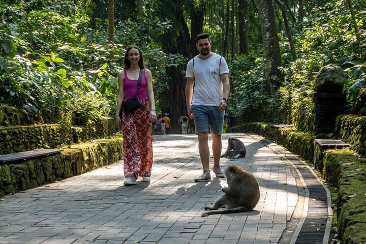 Custom Full-Day Bali Private Car Charter with Local Guide — Ubud Rice Terraces, Waterfalls & Temples photo 5