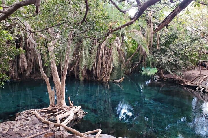 Materuni Falls and Chemka Hot Springs: Day Trek and Spring Swim Near Moshi photo 2
