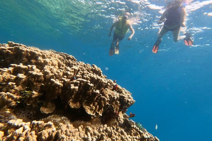 Private Guided Snorkeling in Guam: Family-Friendly Reefs & Freediving Dropoffs photo 2
