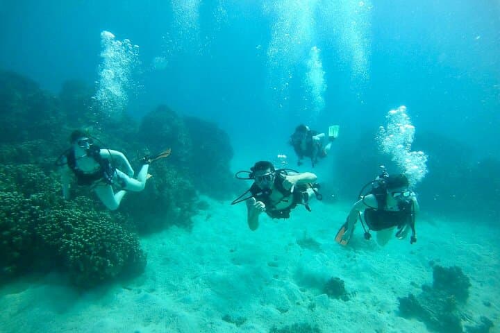 Dogleg Reef Beach Dives — Guam Scuba Trips for Beginners and Experienced Divers photo 2