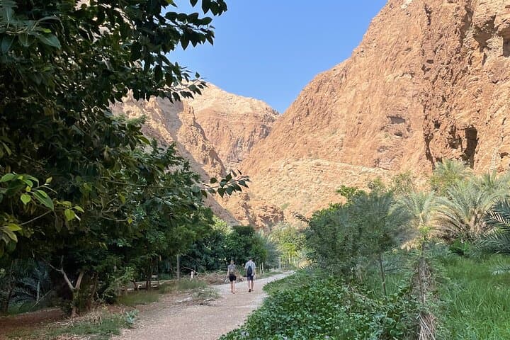 Wadi Shab and Bimmah Sinkhole: Full-Day Canyon Hike and Wild Swim from Muscat photo 5