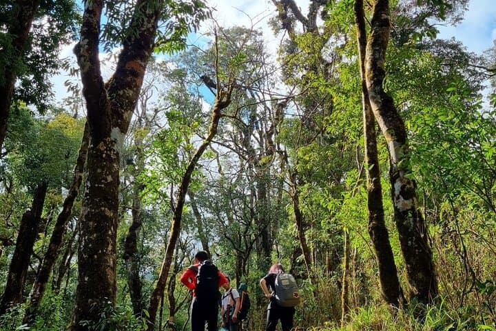 Sapa One-Day Trek: Ta Van & Muong Hoa Valley with Local Guide photo 4