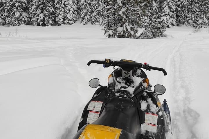 Snowmobile Safari in the Bulgarian Mountains — Day Trip from Sofia photo 2