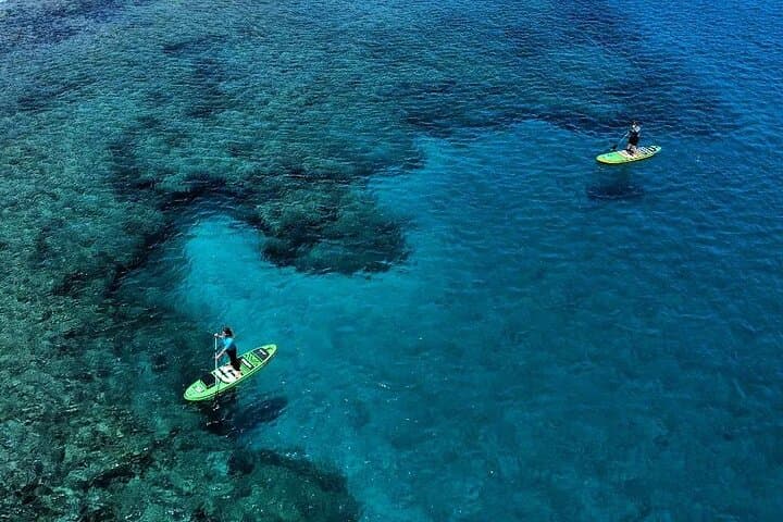 Stand-Up Paddle and Snorkel Lesson in Playa Blanca, Lanzarote photo 2