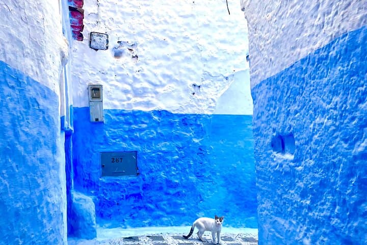 Full-Day Private Trip to Chefchaouen: Blue City Tour from Tangier photo 3