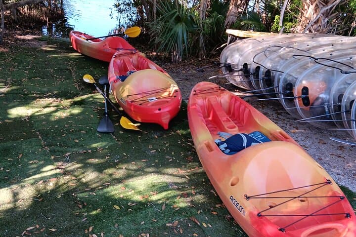 Indian River Kayak Fishing — 4-Hour Rentals from Manatee Cove photo 4