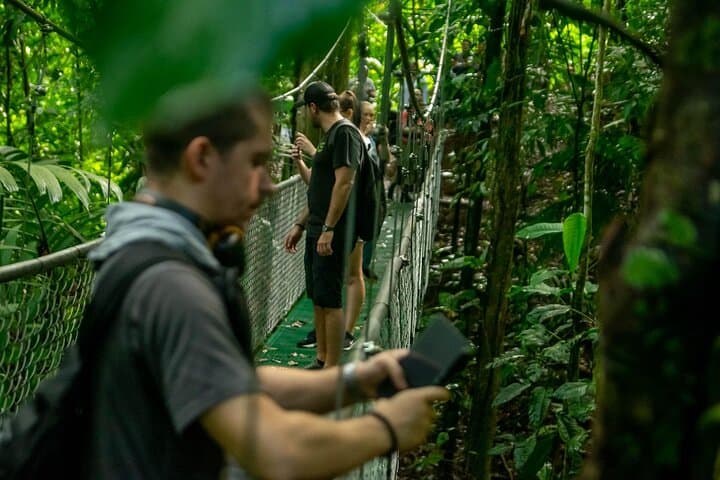 Limón Rainforest Hanging Bridges & Tortuguero Canals Skywalk and Boat Tour photo 2
