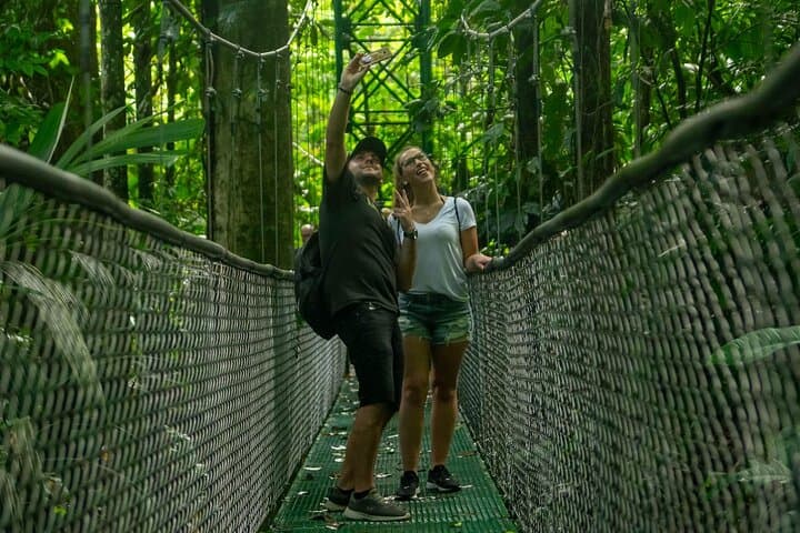 Limón Rainforest Hanging Bridges & Tortuguero Canals Skywalk and Boat Tour photo 4