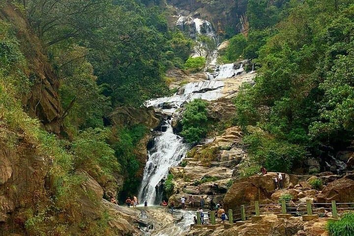 Highland Tea, Train Rides and Yala Safari: 2-Day Nuwara Eliya to Yala Explorer photo 2