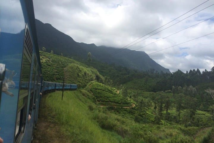 Highland Tea, Train Rides and Yala Safari: 2-Day Nuwara Eliya to Yala Explorer photo 3