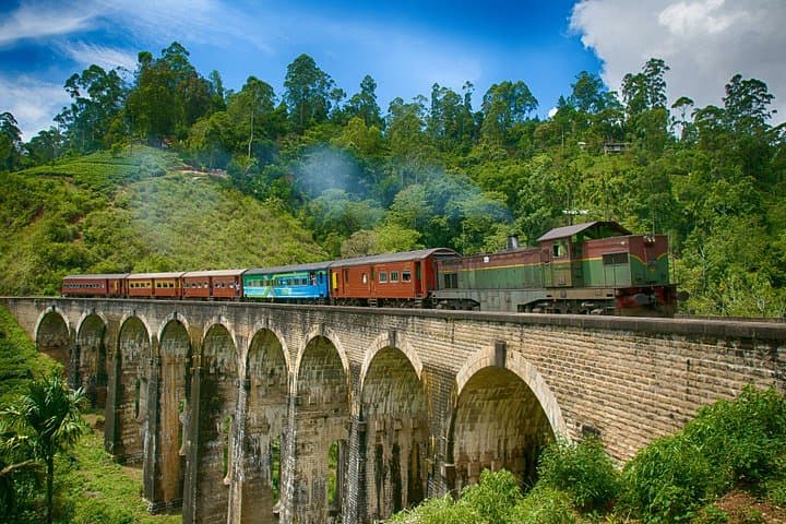 Highland Tea, Train Rides and Yala Safari: 2-Day Nuwara Eliya to Yala Explorer photo 1