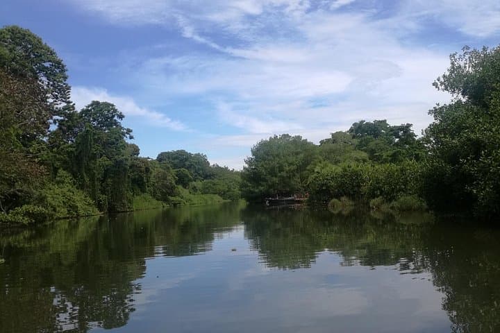 Puerto Limon Combo Tour: Canal Cruise, Plantation Walk & City Viewpoint photo 3