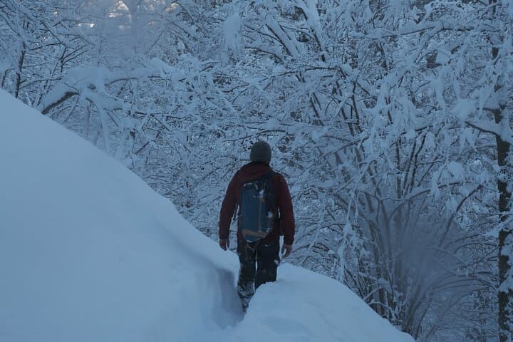 Snowshoeing Ajara: Winter Hikes from Batumi to the Mountain Top photo 6