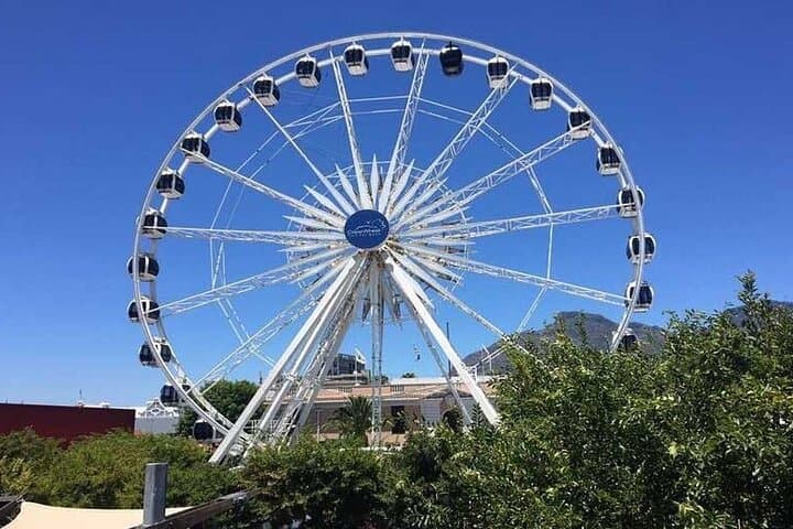 Robben Island Private Half-Day Tour: History, Ferry Crossing & V&A Waterfront photo 6
