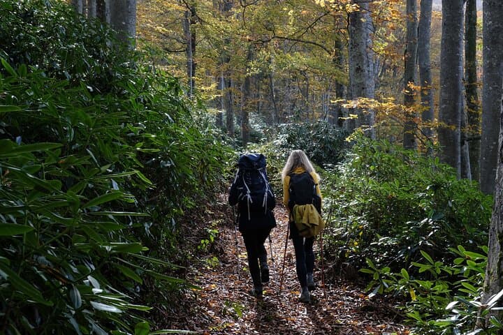 2-Day Backpacking and Hiking in Mtirala National Park, Georgia photo 4