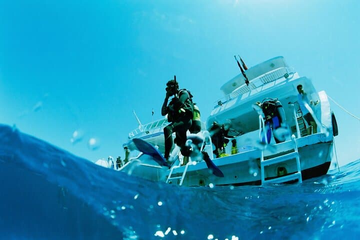 Red Sea Dolphin Watching & Snorkeling — Half-Day Private Tour from Hurghada photo 5